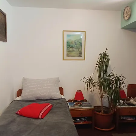 Brasovia Brasov