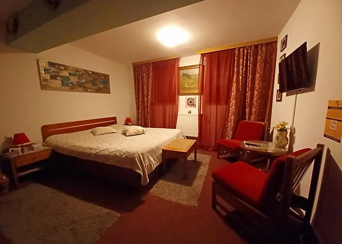 Apartament Brasovia *